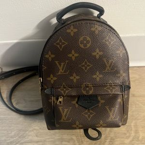 Louis Vuitton Palm Springs Mini
